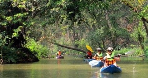 Full Day Rental (8 hours)