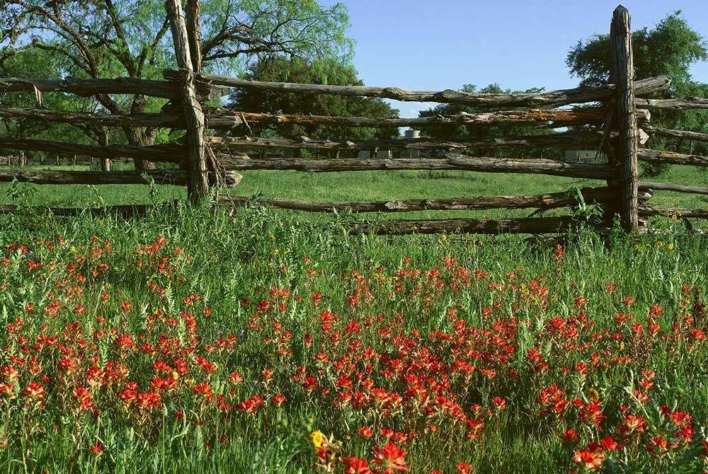 LBJ Ranch Presidential Tour