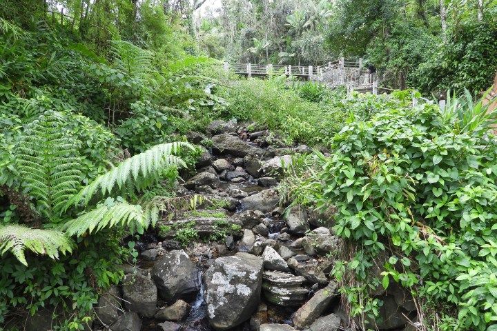 El Yunque National Forest & Luquillo Kiosks Combo