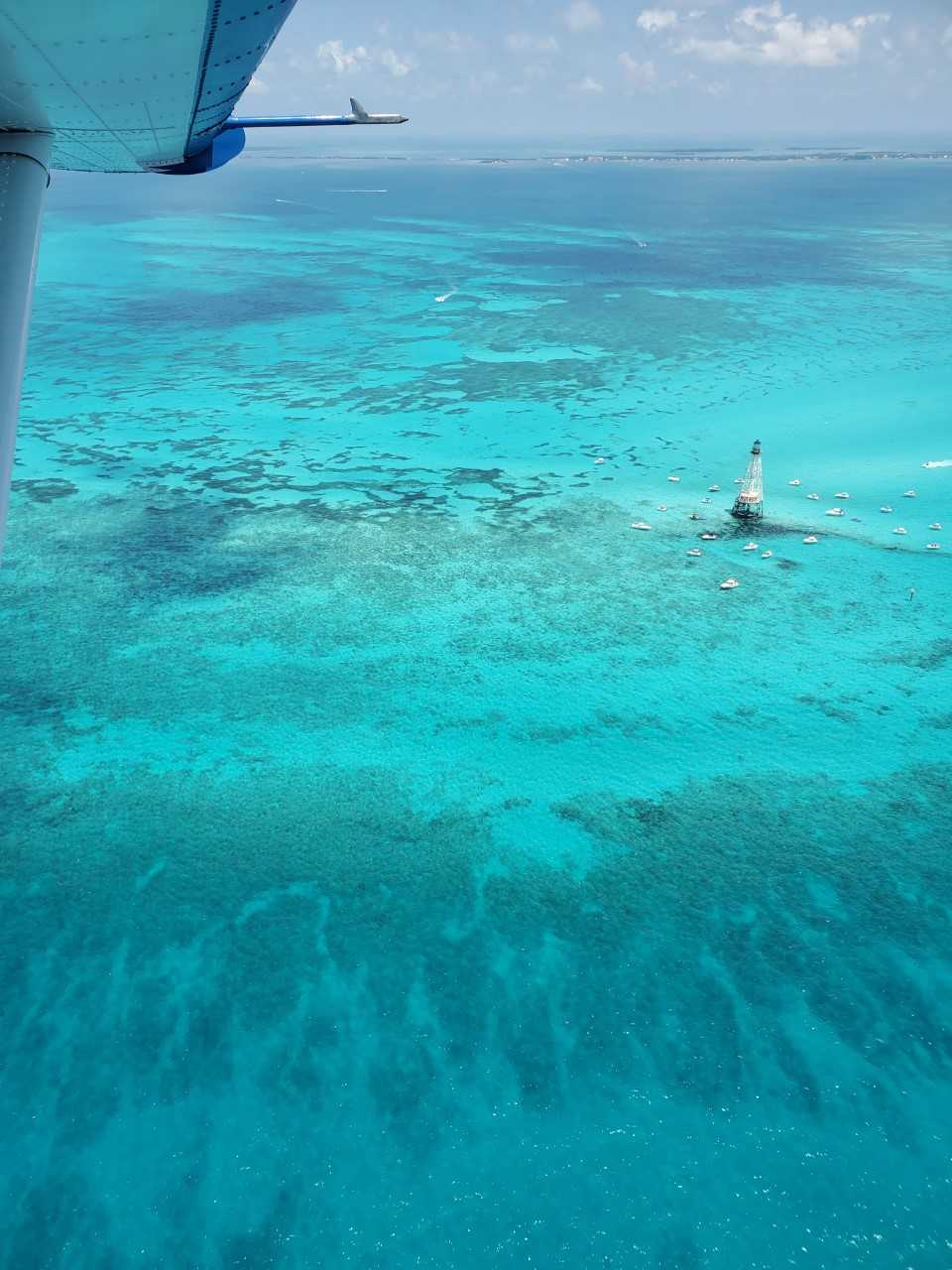 Fly and Snorkel  image 3