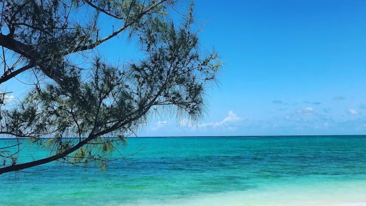 Tranquil Nassau beach with turquoise water, white sand, and a tree.
