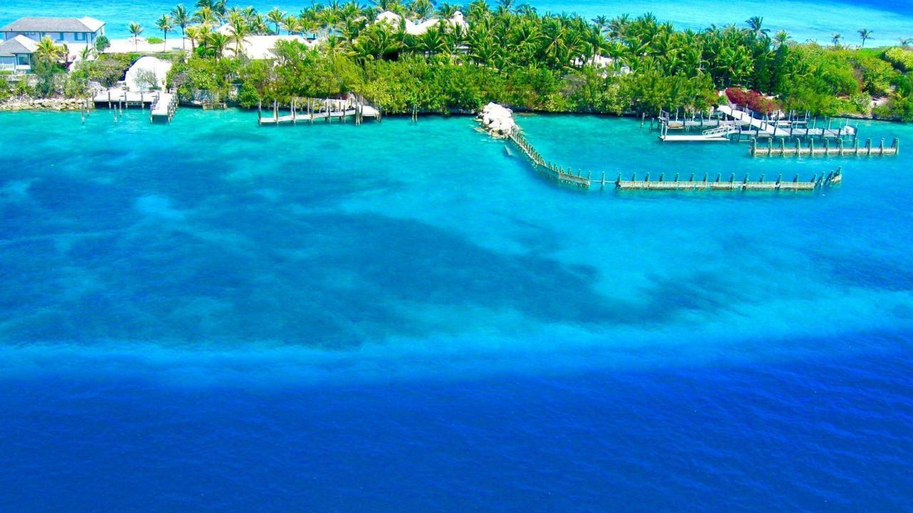 Bahamas island with turquoise waters, palm trees, and docks.&nbsp;