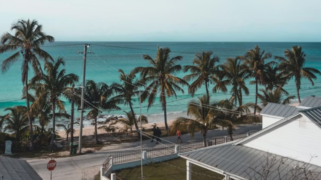Bimini Bahamas coastal homes with palm trees and turquoise ocean.