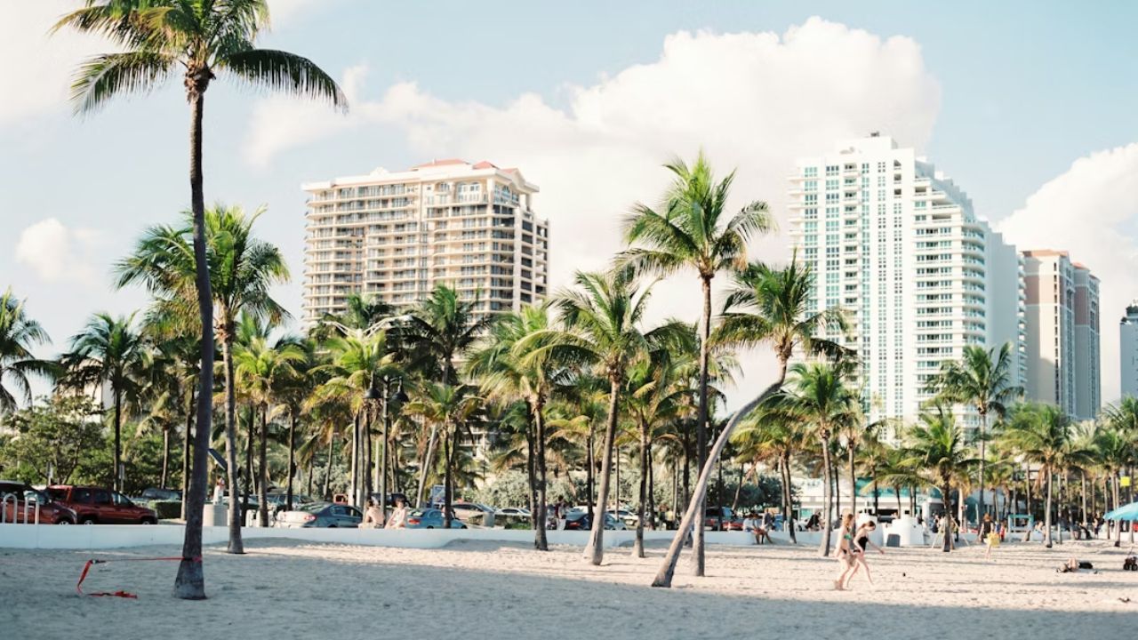 Miami beach with palm trees and modern city skyline.