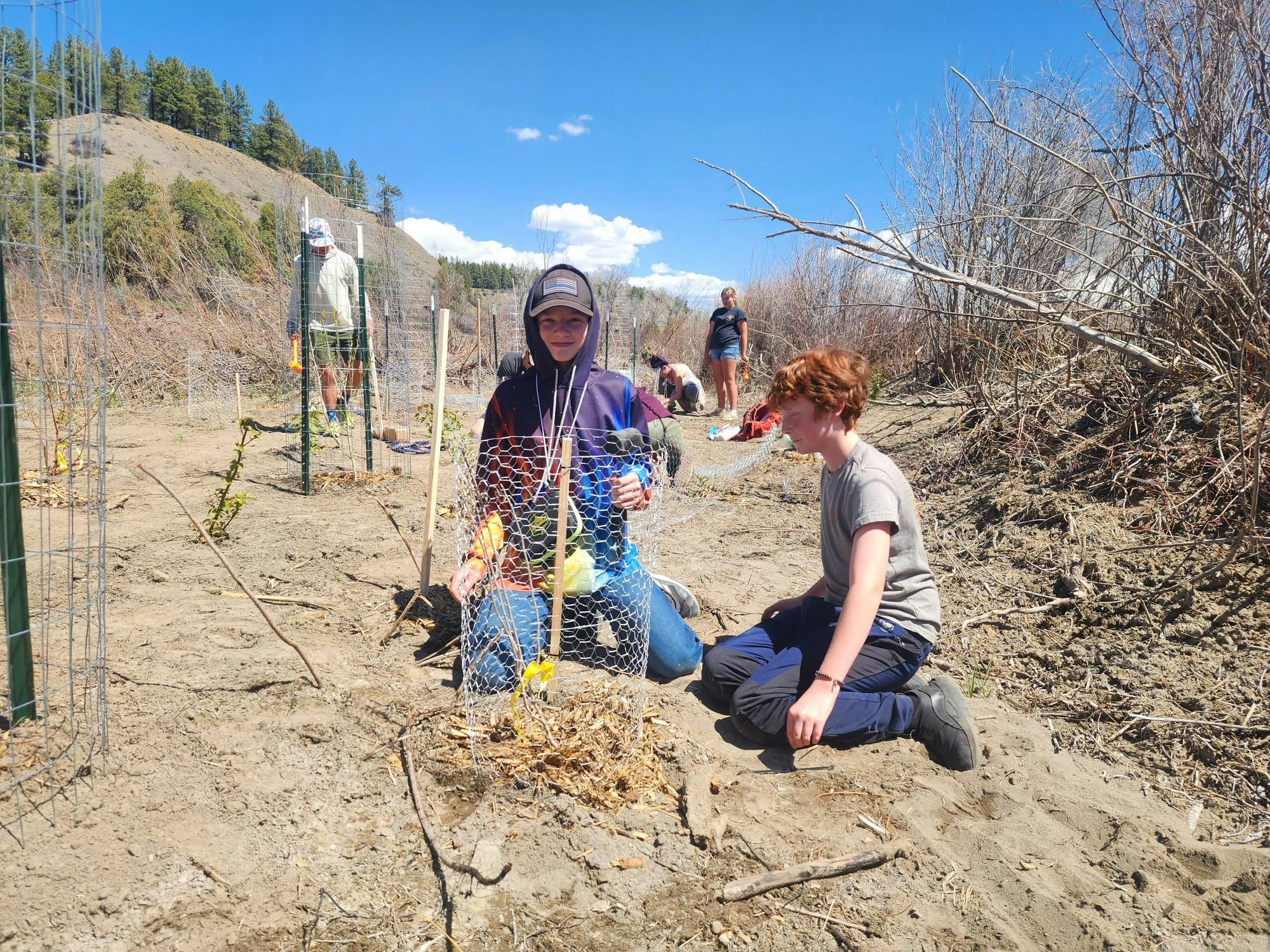 Replanting after the Pagosa Floods