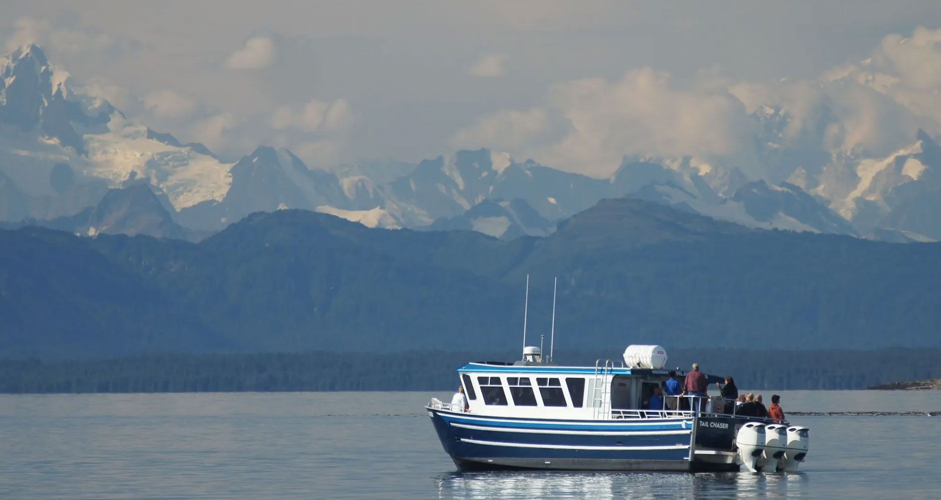 Guaranteed Whale Watching Tours