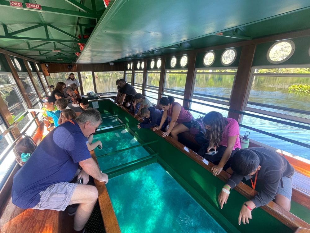 Silver Springs State Park & Silver River Natural History Museum