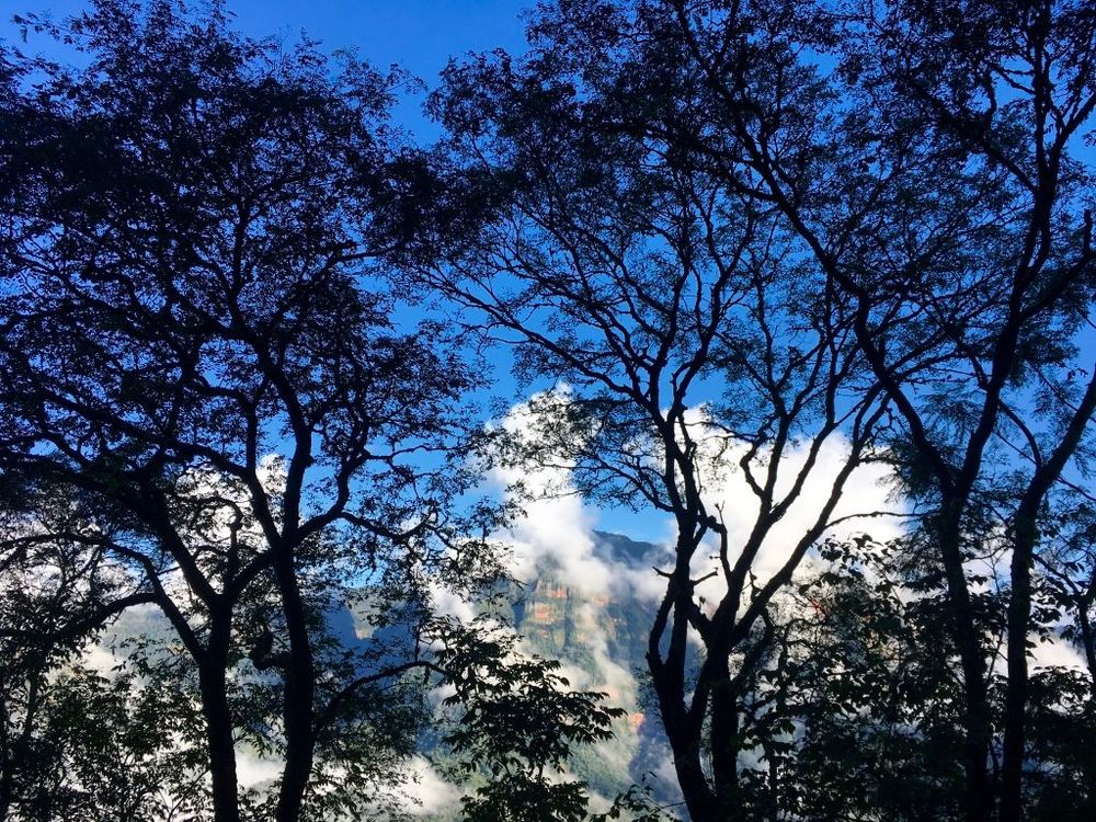 Fourteen Colours & Cloud Forest
