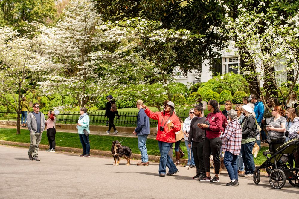 Pre-Civil War Homes Walking Tour: Twickenham