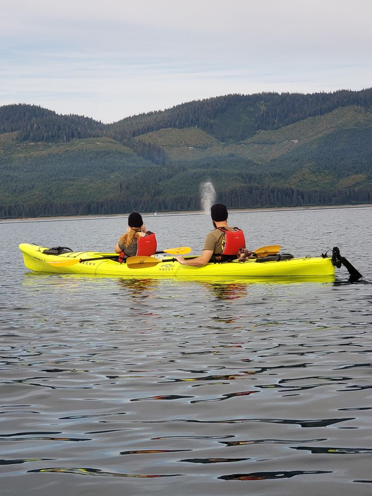 Kayak Adventure