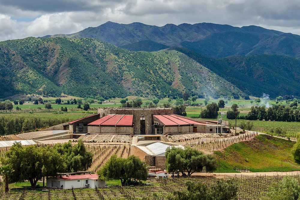 Experience on the Old Wine Route All inclusive