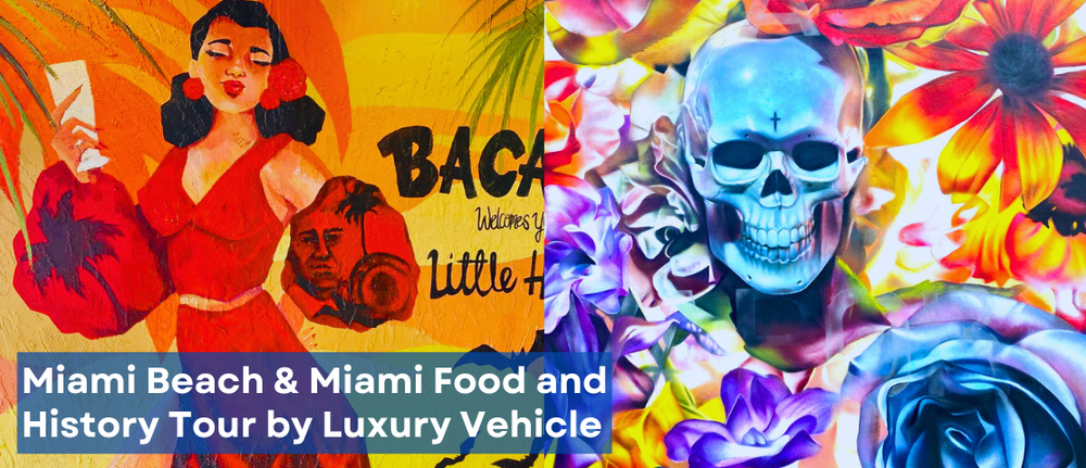 Miami, Coral Gables and Vizcaya History Tour by Luxury Vehicle
