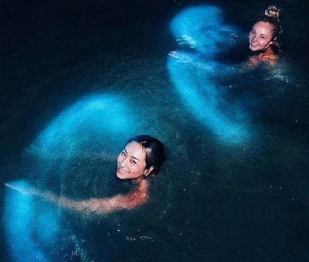 Bioluminescence Tour