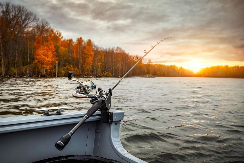 shimano carbomax casting rod Expride Rods Z-Man Smallmouth Bass Fishing - Size:8.2:1 which reduces the vibration