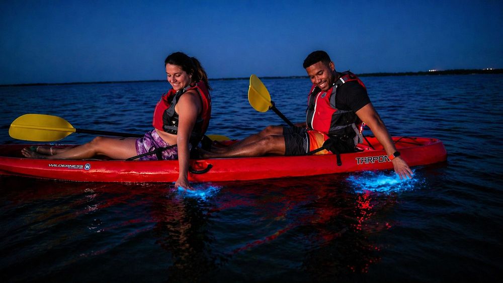 Magic After Dark Bioluminescence Kayak Tour