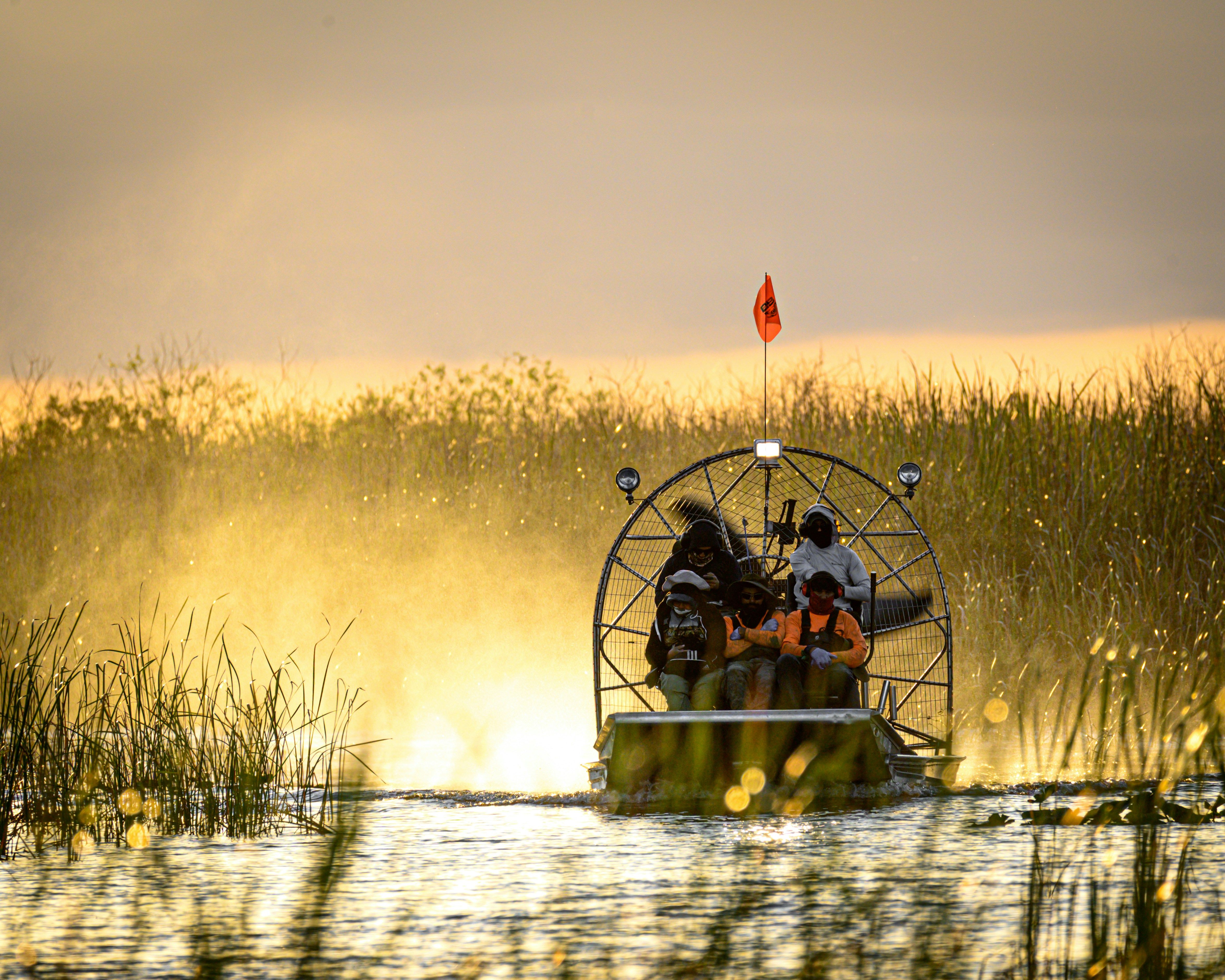 Everglades City Day Trip image 1