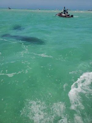 a large body of water next to the ocean