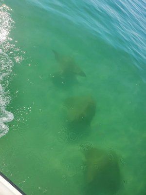 water next to the ocean