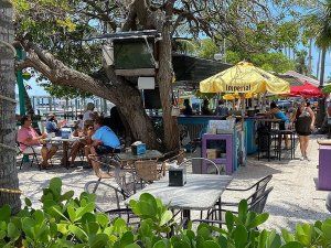 a group of people sitting at a picnic table