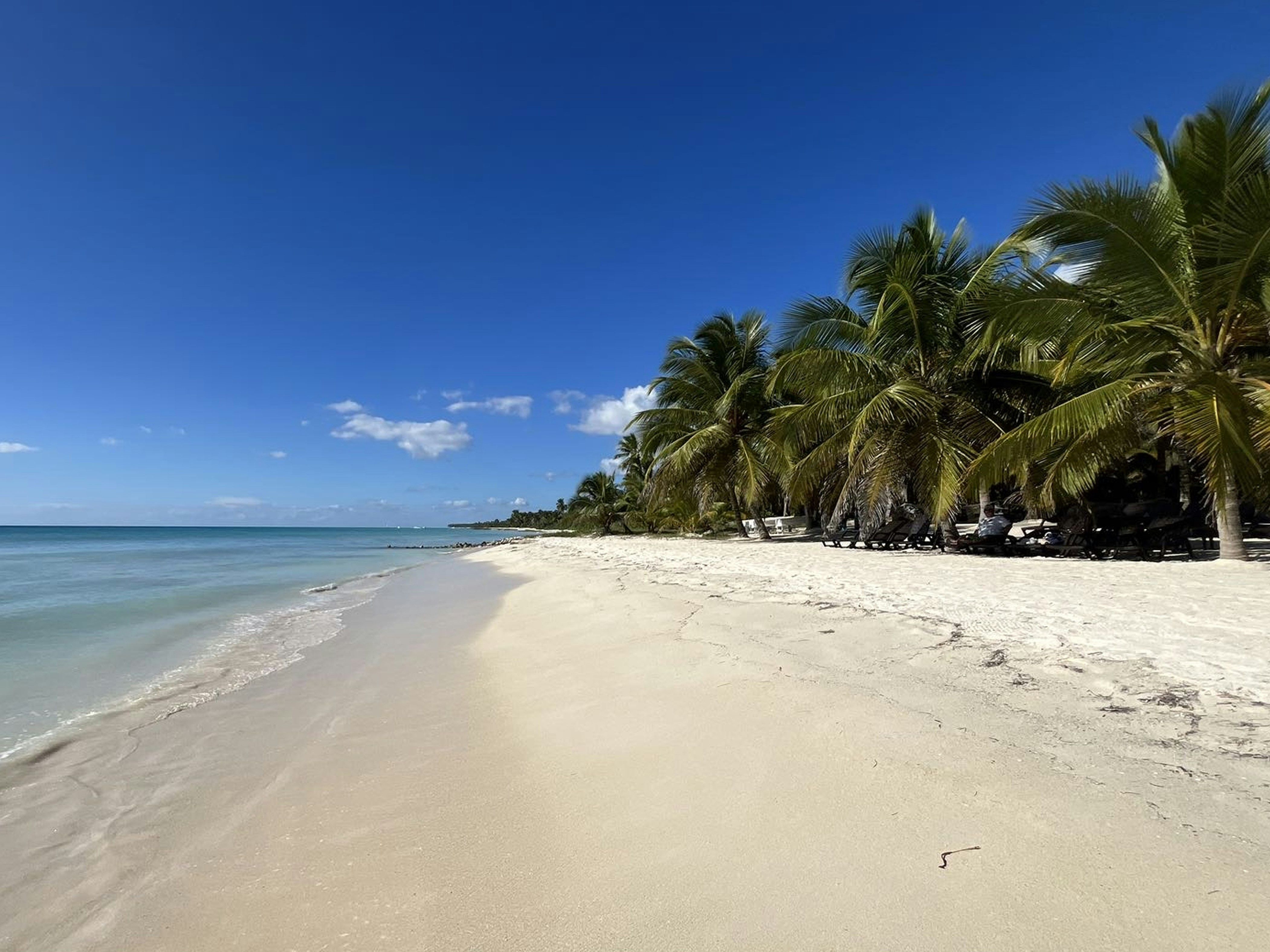 Bimini Bahamas Island Charter image 1